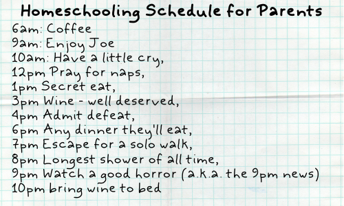 This Is What Pandemic Parenting Looks Like schedule